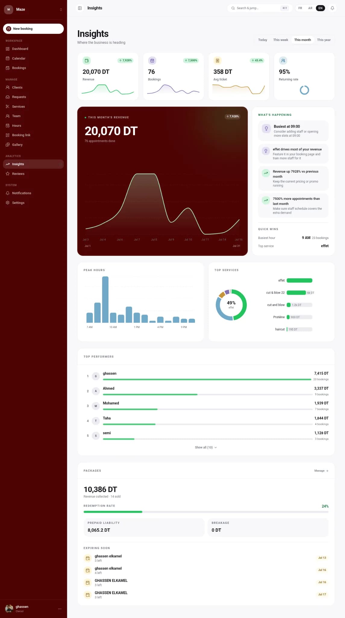 Maze Insights showing monthly revenue, bookings, average ticket and returning rate